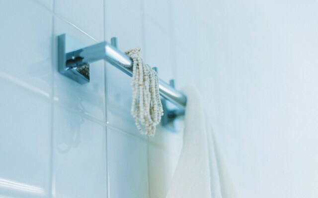 Blue Steak Wonder Senaha