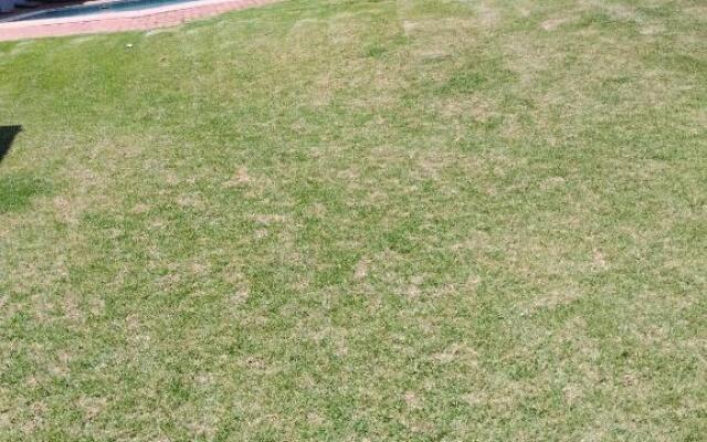 Margna studio Apartments