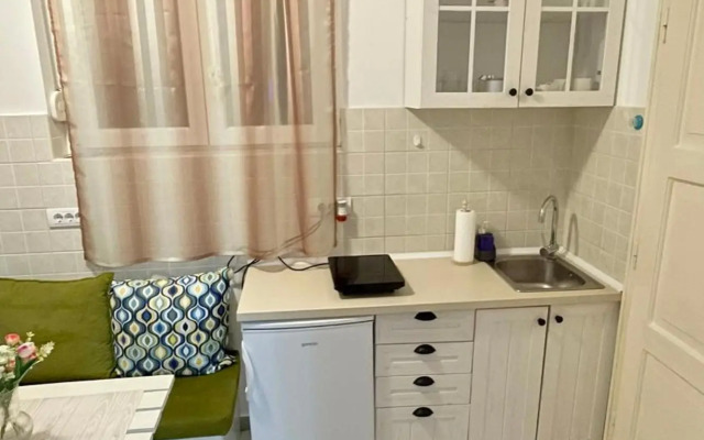 Downtown apartman T