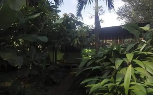 Rancho Verde de Osa