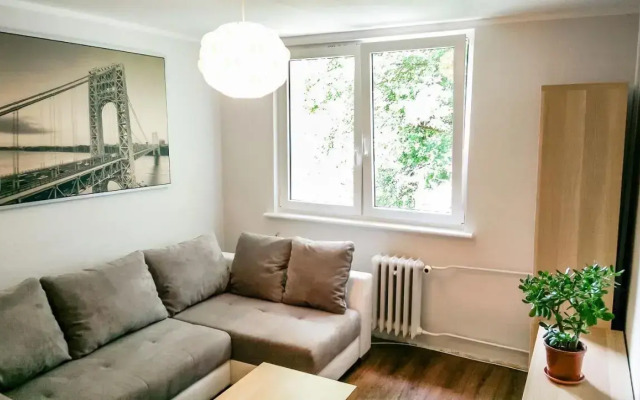 Forest - 23 Marca Sopot