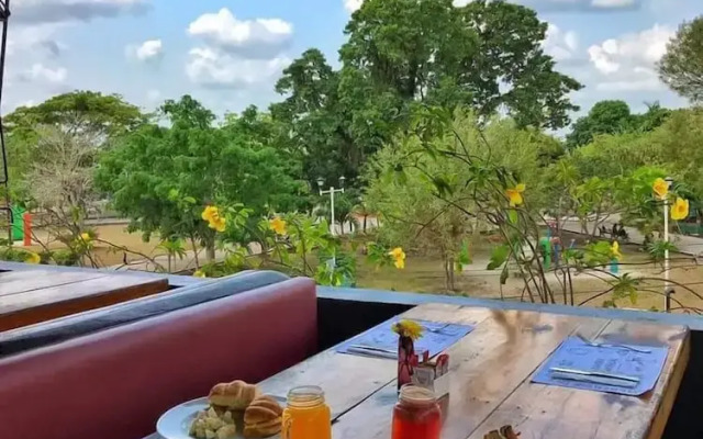 Pata de Perro Bacalar