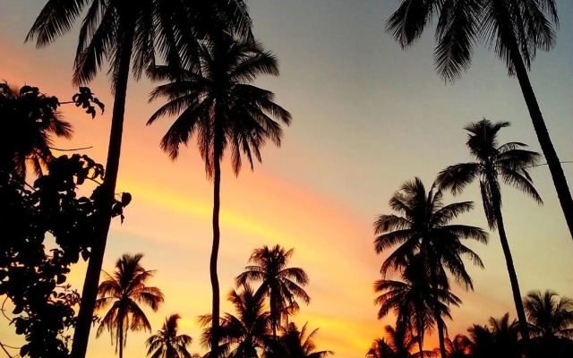 Tropical Season Villa Resort