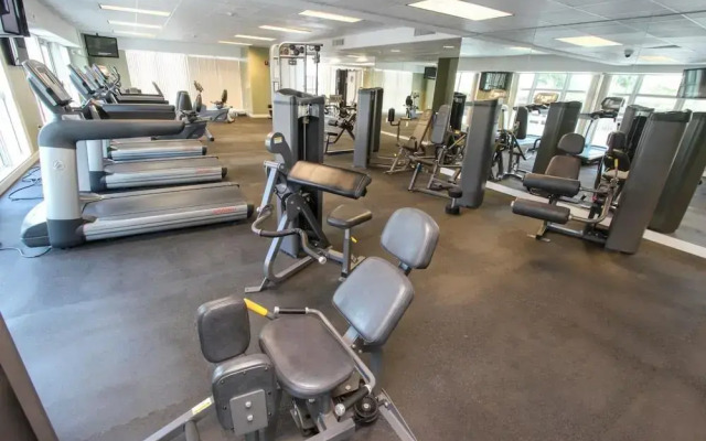 Bluebird Suites in Brickell