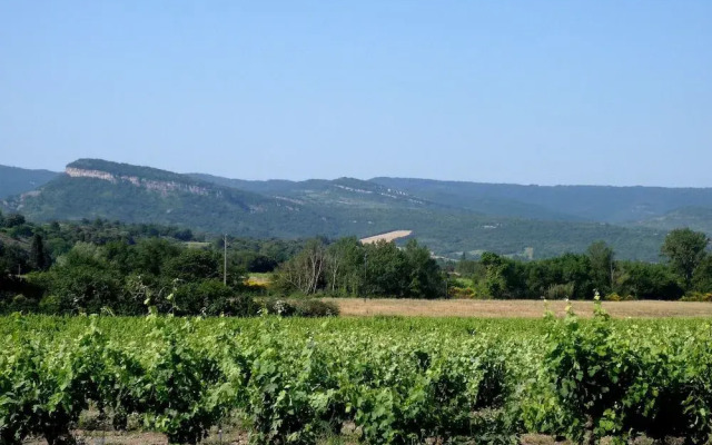 Le Gîte Vigneron