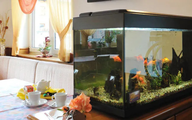 Alpenсolor Hotel Tonale