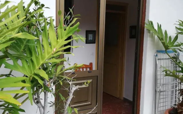 House With 2 Bedrooms in Vallehermoso
