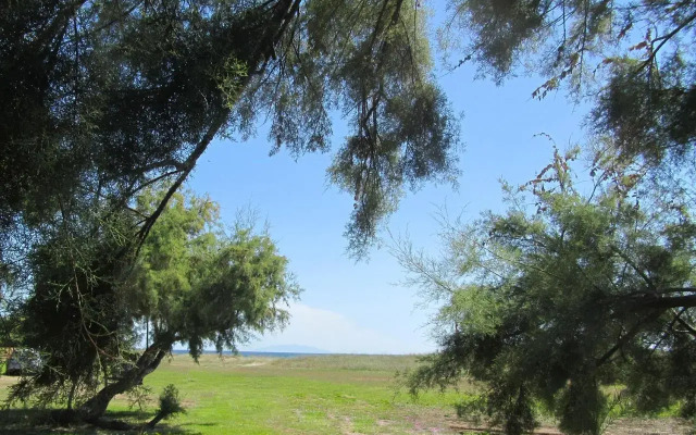 Camping Miami plage