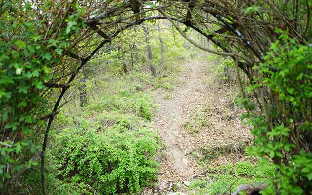 Ganghwa Full of Sunshine Pension