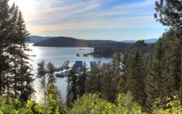 The Silver Beach House