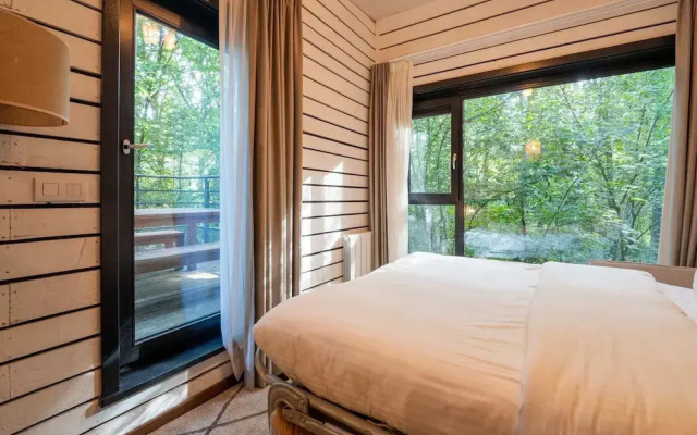 Antoing Escape Near Forest