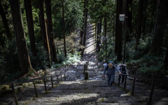 Temple Hotel Habanobo