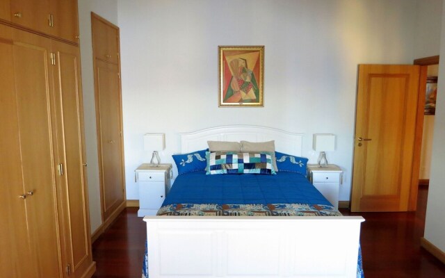 Superior Rentals IN Madeira