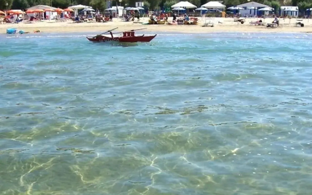 Appartamento nel Verde sul Mare