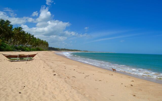 Green Parrot Beach Resort