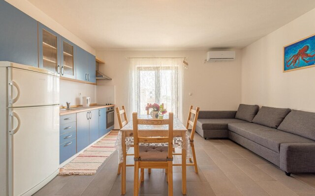 Nice Apartment in Privlaka With 1 Bedrooms and Wifi