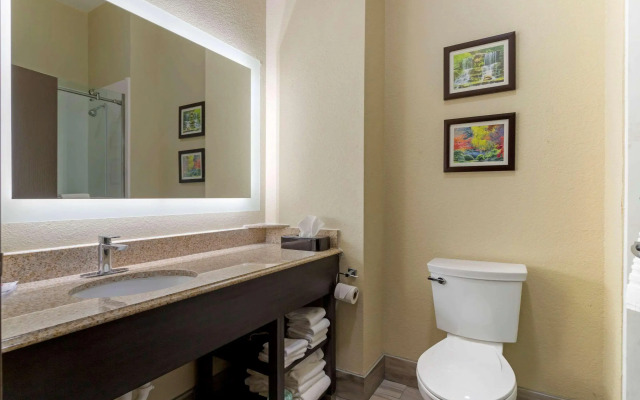 Comfort Suites Kingwood Houston North