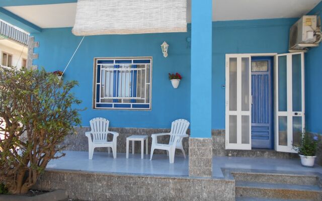 The House of Blue Butterflies