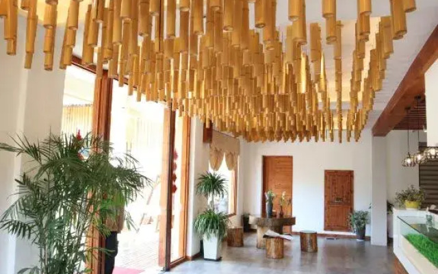 Qingxingul(Anji Yunshang Grassland Store)