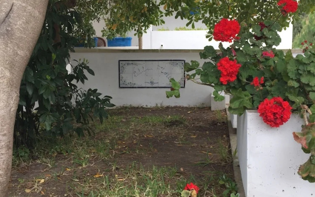 Villa Flora Studios & Apartments