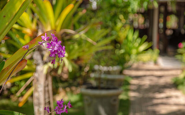 Pousada Guaratiba