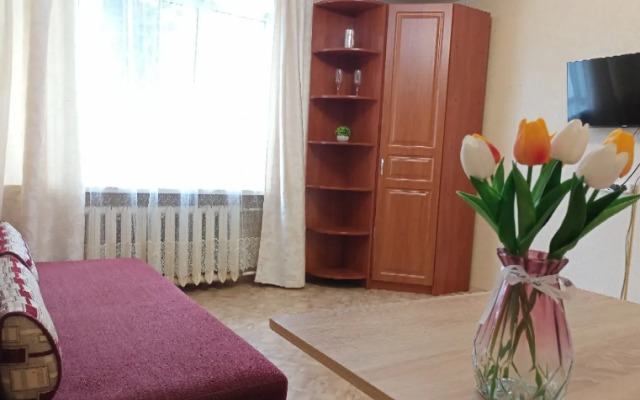 Apartments on 17A Tatishcheva Street