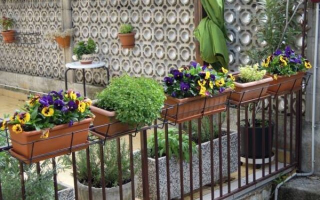 Hotel Ristorante Alla Terrazza
