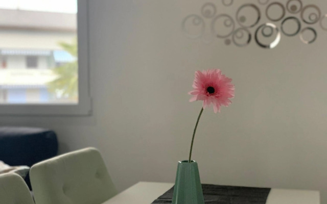 Miranda, Modern Duplex, Garden, Swimming Pool, Parking