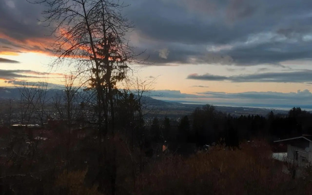Ferienwohnung Bodenseeblick