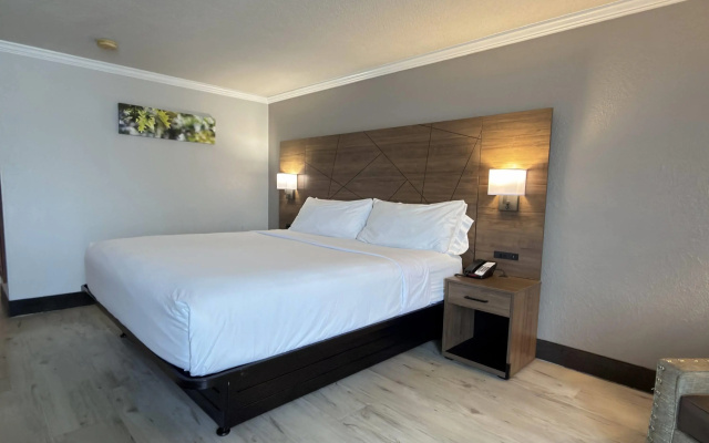 Wyndham Garden Summerville
