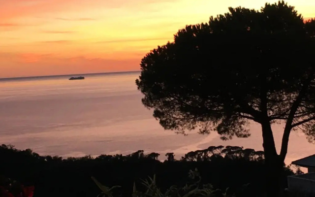 Affittacamere Villa Orchidea
