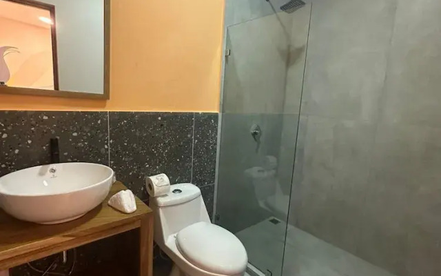 Wide Mouth Frog At Quepos