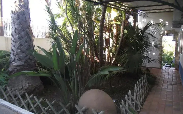 Quinta Africana