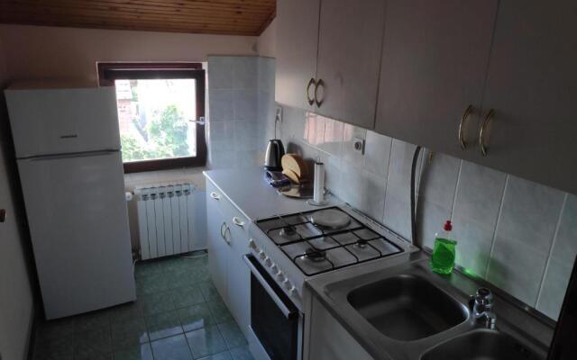 Apartment Viktorija