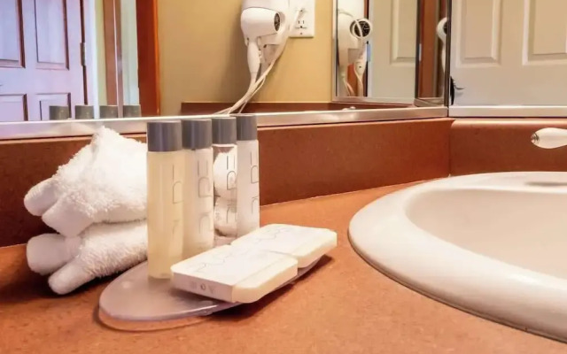 Mountain View Studio in Whistler Village - Unit 430