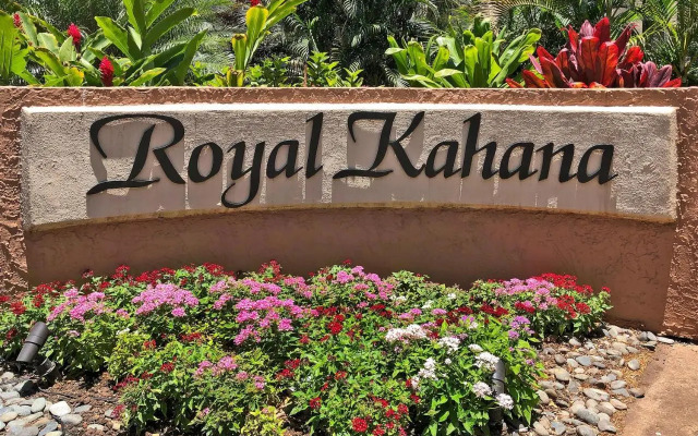 Royal Kahana 104