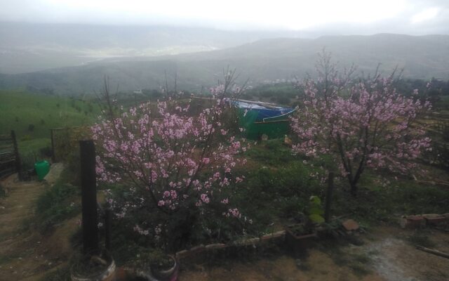 Farm stay Ali - Hostel