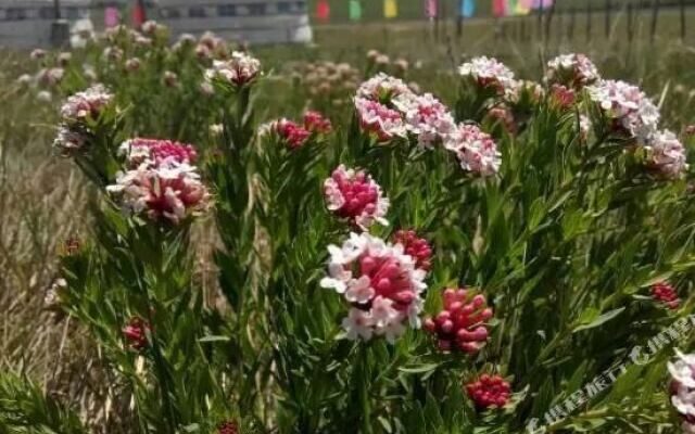 Xi Lin Nai Er Resort