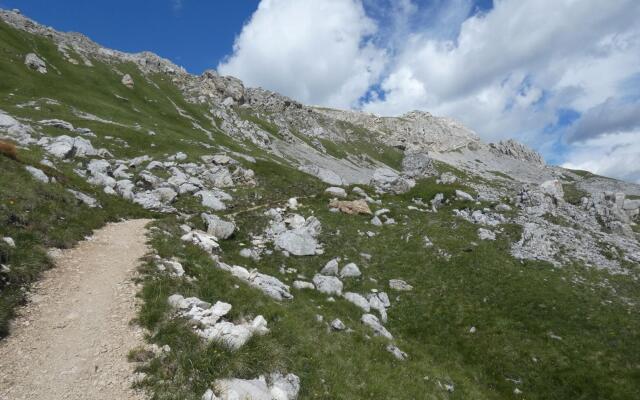 Apartment in Predazzo Near Dolomiti Superski