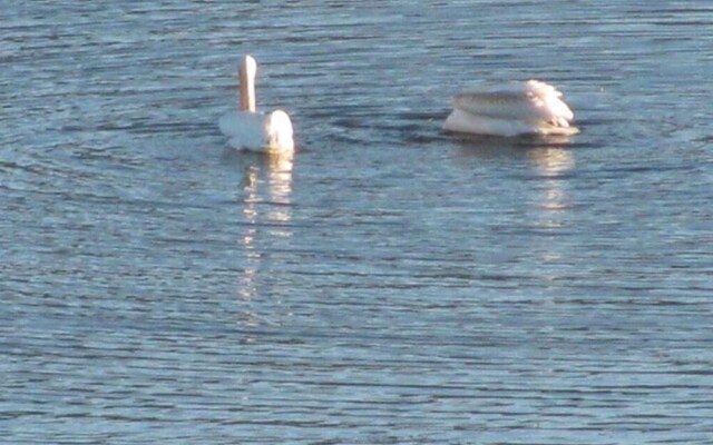 055 - Lakefront Ski Getaway