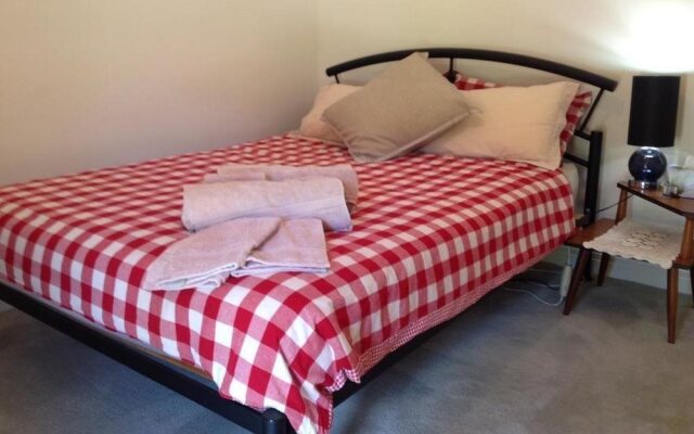 Ascella Organic Wine