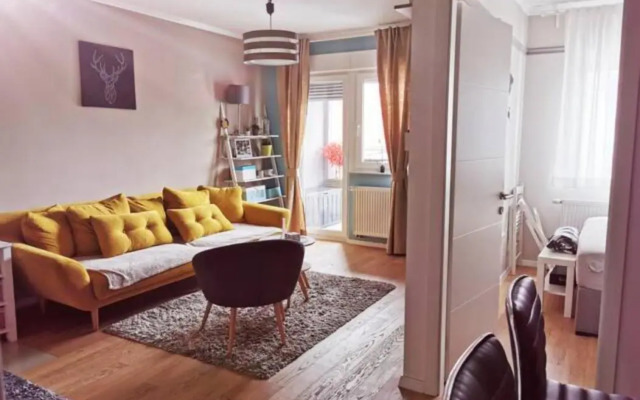 New elegant apartment with free parking and wifi
