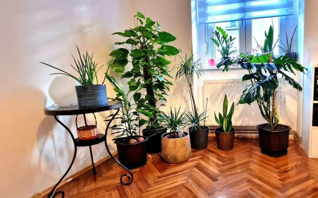 Charming 50m2 Apartment in Zagreb City Center