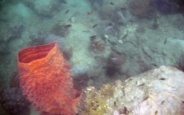 Koh Wai Beach Resort