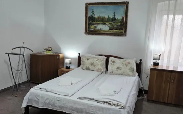Guesthouse Casa Baciu
