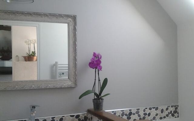 Manoir des Roches 41