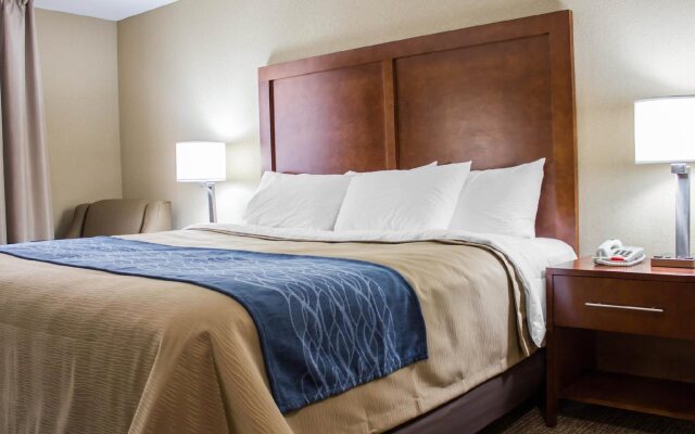 Hotel Jamaica Plaza