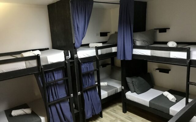 Crazy Bears Hostel