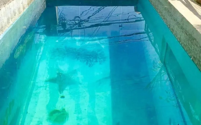 Pacific Sunset Reñaca