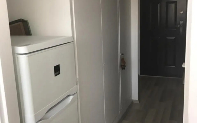 PanoramaPanel